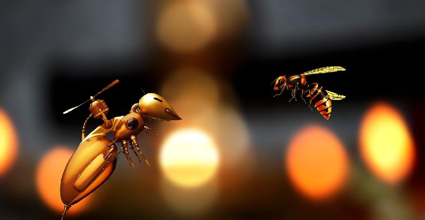 Los cerebros de los insectos crearán robots inteligentes