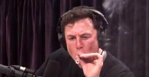 Elon Musk fumando marihuana