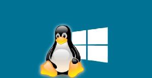 Las principales razones por las que los usuarios dejan Linux por Windows