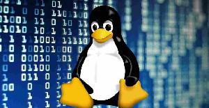 Ventajas y desventajas de Linux