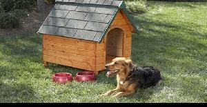 Creando un hogar cálido y cómodo: casas para perros y camas para perros